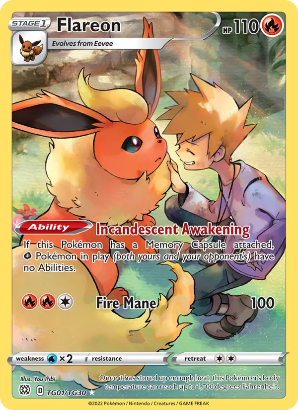 Cover of Pokémon & Their Trainers